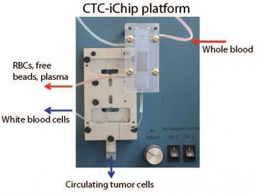 MGH Develops CTC-iChip Microfluidic System
