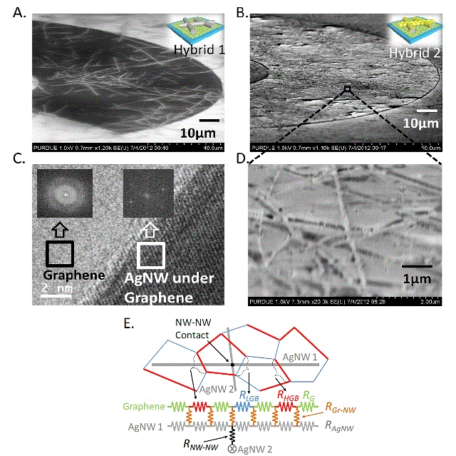 Graphene-Covered Silver Nanowire Electrodes Hold Promise for Touch-Screen Monitors