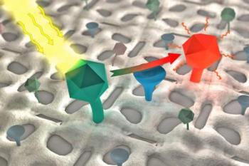 Color Molecules on Bacterial Protein Nanostructured Surface Detects Pharmaceutical Residues