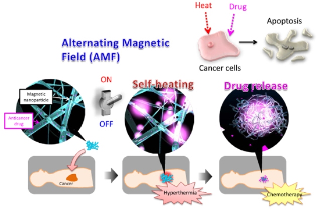 Novel Nanofiber Mesh Simultaneously Realizes Thermotherapy and Chemotherapy of Tumors