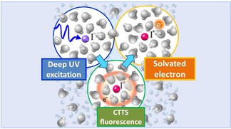 Ultrafast Fluorescence Spectroscopy Reveals Solvent Interfere with Electron Transfer