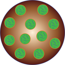 Drugs Encapsulated in Nanoparticles May Help Treat Wet AMD