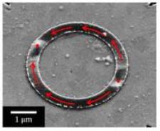 JGU Physicists Observe Magnetization Dynamics Processes in Magnetic Nanowires