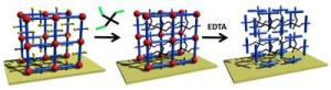 Stable Porous Gel Obtained from Metal-Organic Framework Grown up on a Solid Substrate