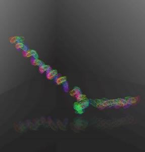 Microscope with Mobile Stage Moves According to Bacterium's Movement