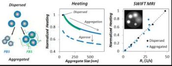 Characterizing Effects of Biological Aggregation on Heating and Imaging of Magnetic Iron Oxide Nanoparticles