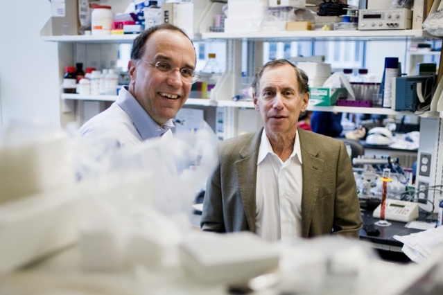 MEMS Innovations Enable Commercialization of Implantable Microchips for Drug-Delivery
