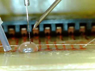 Innovative Technology for Microdroplet Creation for Automatic Analytical Devices