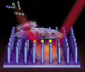 Ionization Platform for Molecule Detection Based on Silicon Nanopost Arrays and Laser Light Interactions
