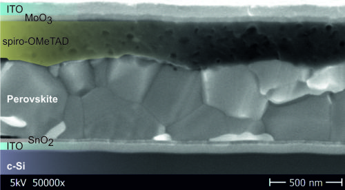 Hybrid Silicon Heterojunction-Perovskite Solar Cell Delivers Record Efficiency