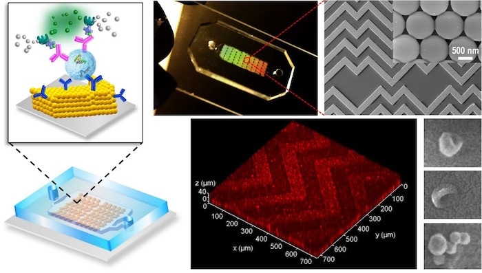 Researchers Develop “Lab-on-a-Chip” that Enables Faster and Cheaper Detection of Cancer
