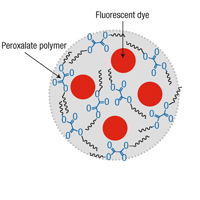 Nanoparticles Could be Used to Detect Early Stage Diseases