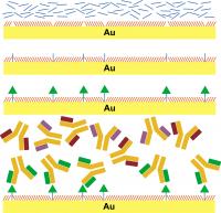 Studying Brain Chemistry by Attaching Neurotransmitters to Surfaces, Which then Capture Large Biomolecules