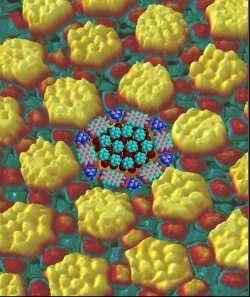 Scientists Accomplished One of the Big Quests in Nanotechnology