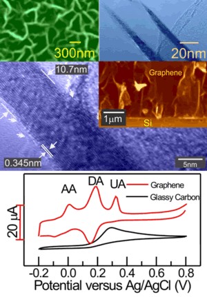 New Strategies to Exploit Electrocatalytic Properties and High Surface Area of Graphene Sheets
