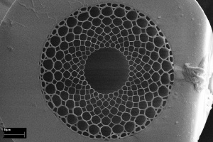 Guiding Femtosecond Pulses in a Flexible Manner