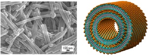Researchers Developed Technique for Mass Production of Metal-Complex-Type Organic Nanotubes