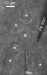 Activation of Neurons Using Nanostructured Semiconductor Photoelectrodes