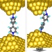Feature that Could be Used as a Switch in Nanoscale Electronic Devices