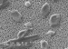 Buckyballs Keeping Water Pipes Clear