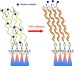 Diamond Biosensor for Specific Sequence of DNA with Ultra-high Sensitivity