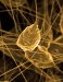 Nanotechnology Coated Brain Implants Could Improve Treatment for Deafness, Paralysis and Parkinson's Disease