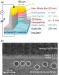 Discovery 'Proof of Principle' of the Existence of 'Spin Battery'