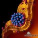 Starpharma, - An Australian Nanotechnology Success Story