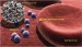 Nano Pet Health Annouces Breakthrough in Wet Nanotechnology Now Available to the Public