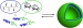 Block Copolymer Vesicles from Protein and Sugar Components