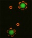 Technique Holds Promise for Mass-Produced Nanoparticles
