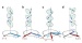 How Electric Polarization of Multiferroic Materials Responds to Changes in an Externally Applied Magnetic Field