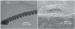 Revolutionary Nanospring Technology Key to Enhanced Energy Density