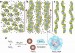 Magnetic Particles Suspended Within Specialized Solution Act Like Molecular Sheep Dogs