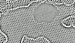 Berkeley Scientists Produce First Live Action Movie of Individual Carbon Atoms in Action