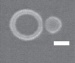 Tiny New Nanosensor that Could be Used in Novel Security Devices
