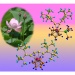 Zirconium Atom can Switch Easily Between Two Different Bonding Patterns in an Unusual Molecule