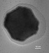 Nanotechnology Paving Way for Development of a Combined Diagnosis/Therapeutic Strategy