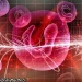 Nanoparticle that Transports Antitumor Genes Selectively to Cancer Cells