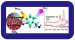 SERS of TiO2 Nanoparticles