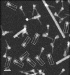 Decoded Structure of Secretion System Could Lead to New Drugs