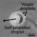 "Self-Propelled" Oil Droplets that Can Run on a Chemical "Fuel"