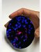 First Biodegradable Fluorescent Nanoparticle to Safely Image Tumors and Organs