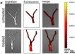 First Step in Development of a New Kind of Treatment for STD using Nanotechnology