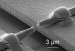 Scientists Develop Technique to Produce Cartilage Tissue Artificially