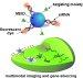 Four-in-One Agent that Can Detect, Target, and Disable Tumor Cells