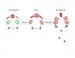 Surprising Twist to Photosynthesis by Swapping Key Metal Necessary for Turning Sunlight into Chemical Energy
