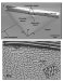 Cornell Researchers Develop Device that Can Make Objects Disappear