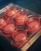 Researchers Demonstrate How Artificial Skin can be Manufactured in a Fully Automatic Process