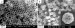 New Way to Make Raspberry-Shaped Nanoparticles that Can Give Glass a Permanent Antifogging Coating